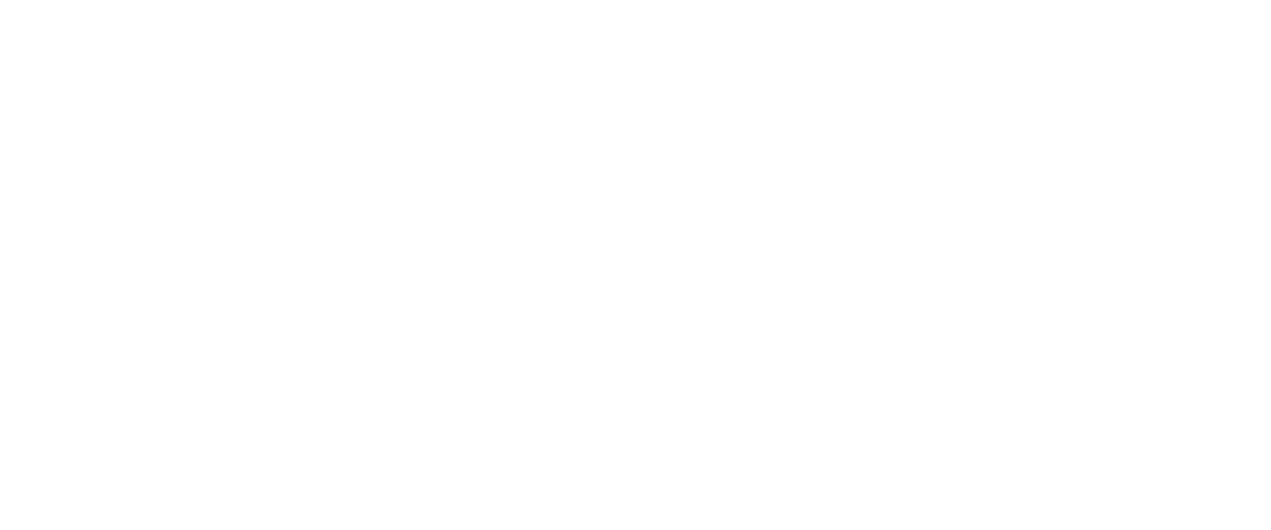 Salon Stiles